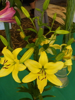 Foto: Dr. Peter Müller